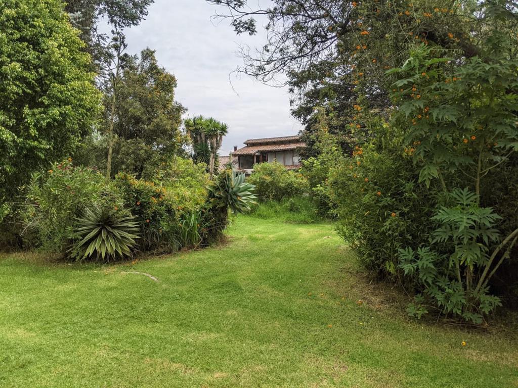 Vendo Terreno en Pifo — imagen 9
