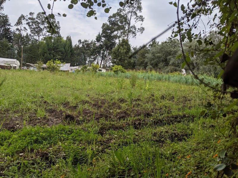 Vendo Terreno en Pifo — imagen 8