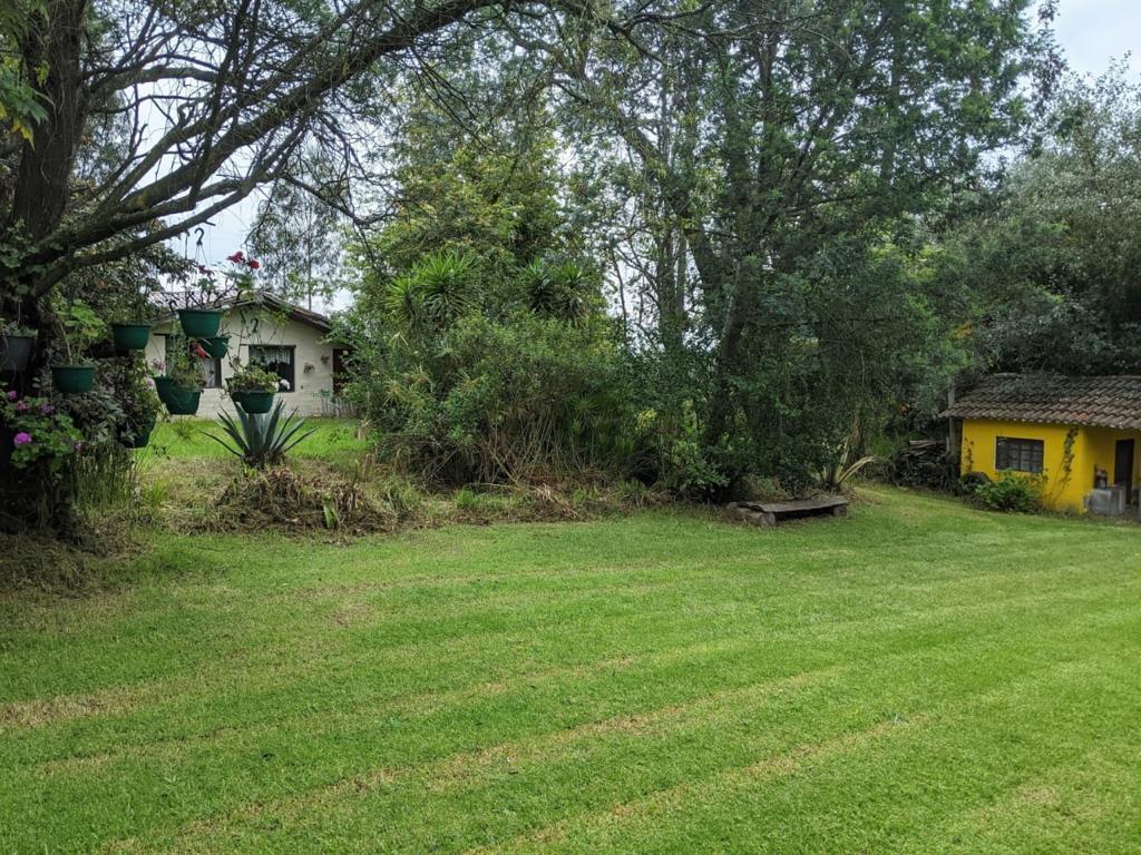 Vendo Terreno en Pifo — imagen 7