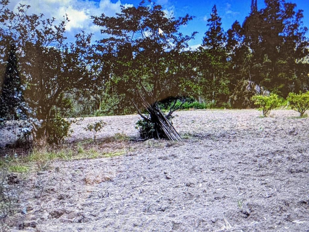 Vendo Terreno en Pifo — imagen 6