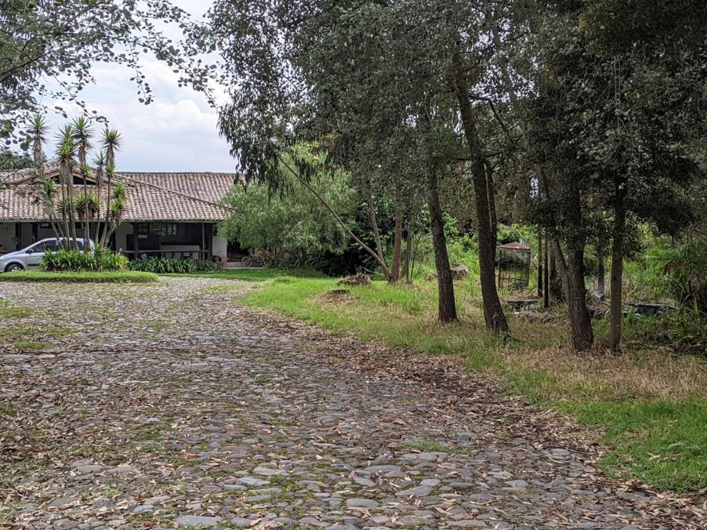 Vendo Terreno en Pifo — imagen 2