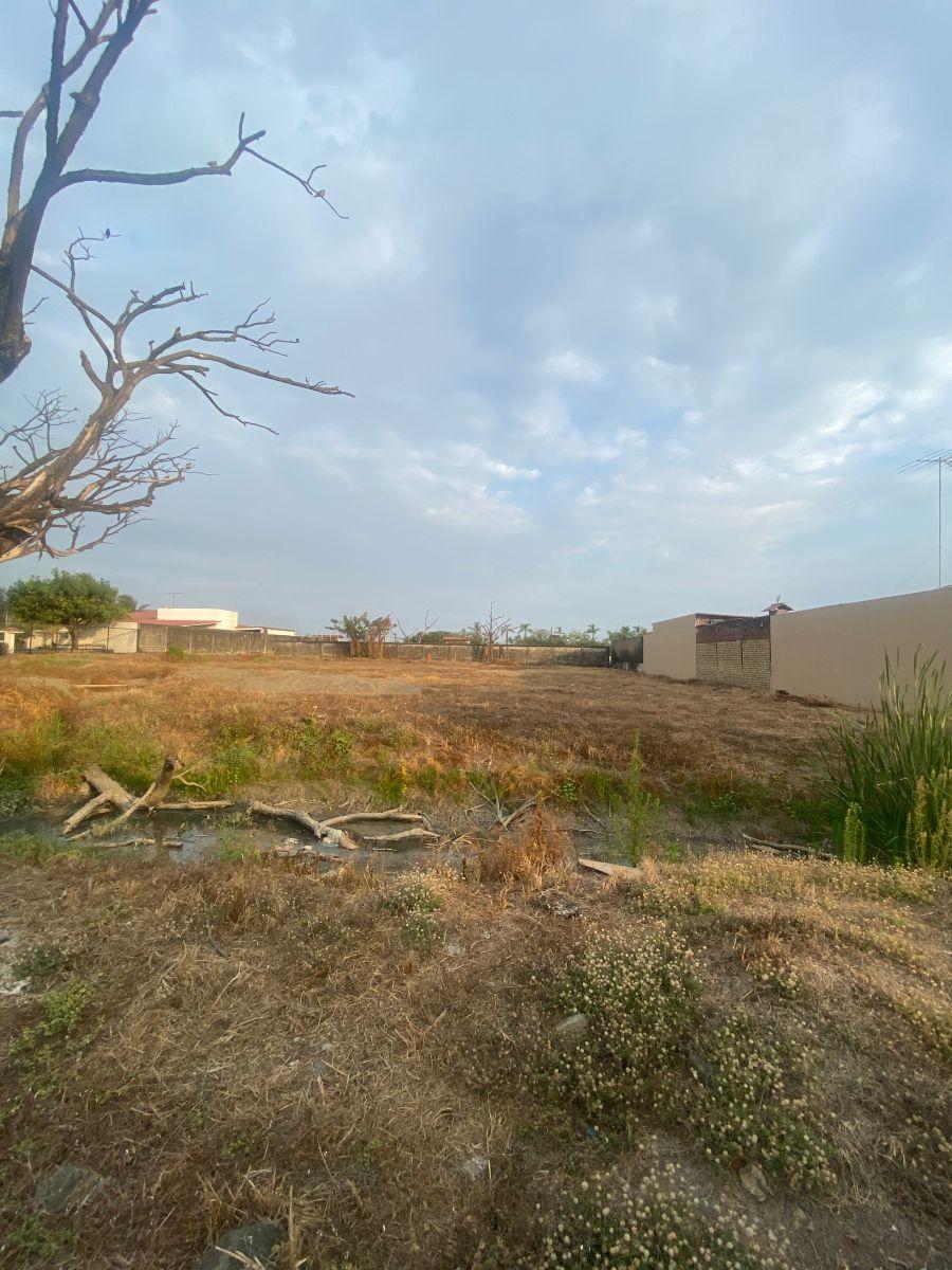 Vendo Terreno en El Cortijo, Guayas — imagen 10