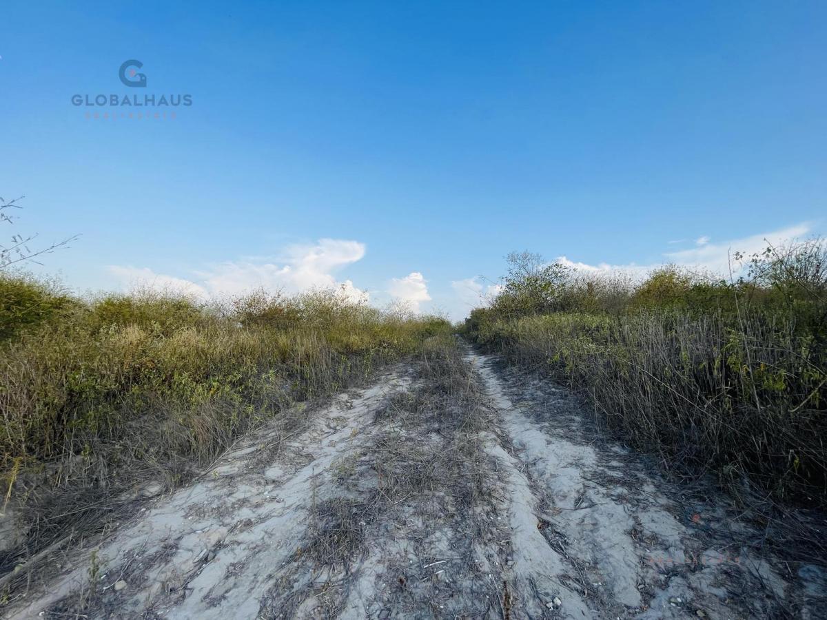 Venta de Terreno de 17 Hectáreas en El Sur de Manta. A. G, Manabí — imagen 5
