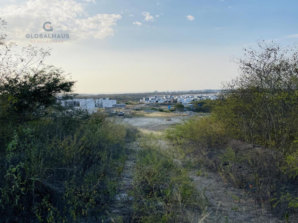 Venta de Terreno de 17 Hectáreas en El Sur de Manta. A. G, Manabí — imagen 4