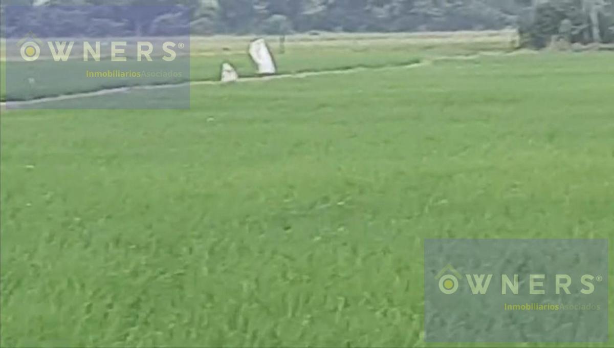 Venta Propiedad Agricola Ricaurte (Vm), Los Ríos — imagen 7