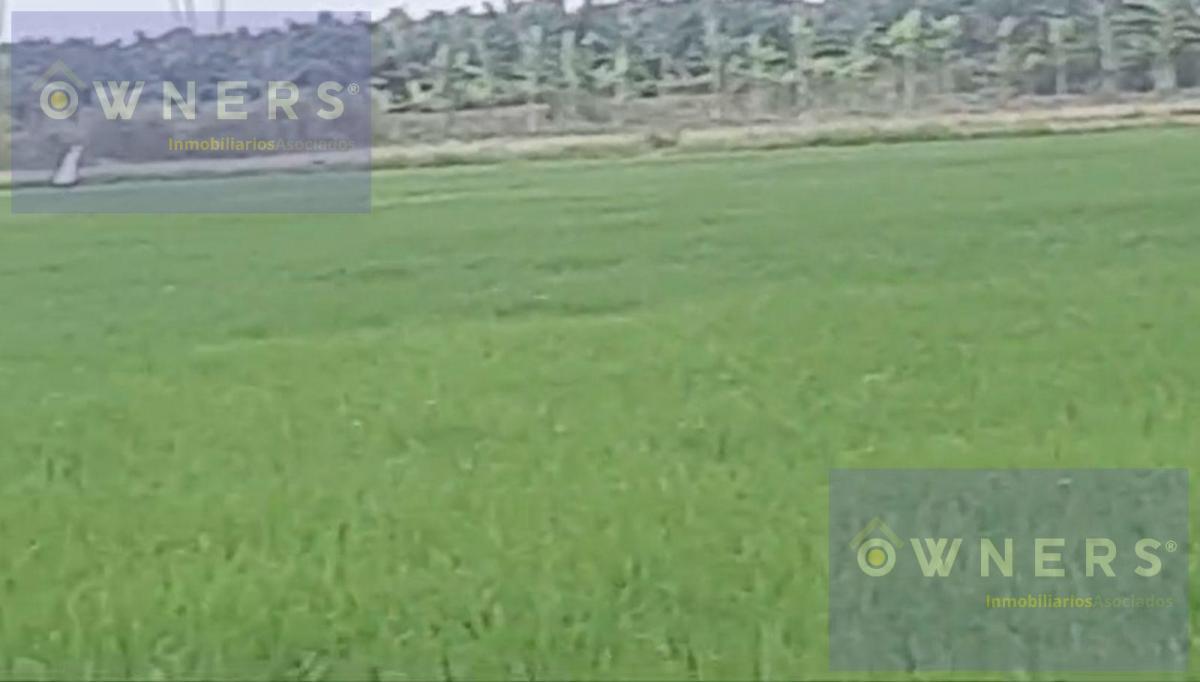 Venta Propiedad Agricola Ricaurte (Vm), Los Ríos — imagen 6