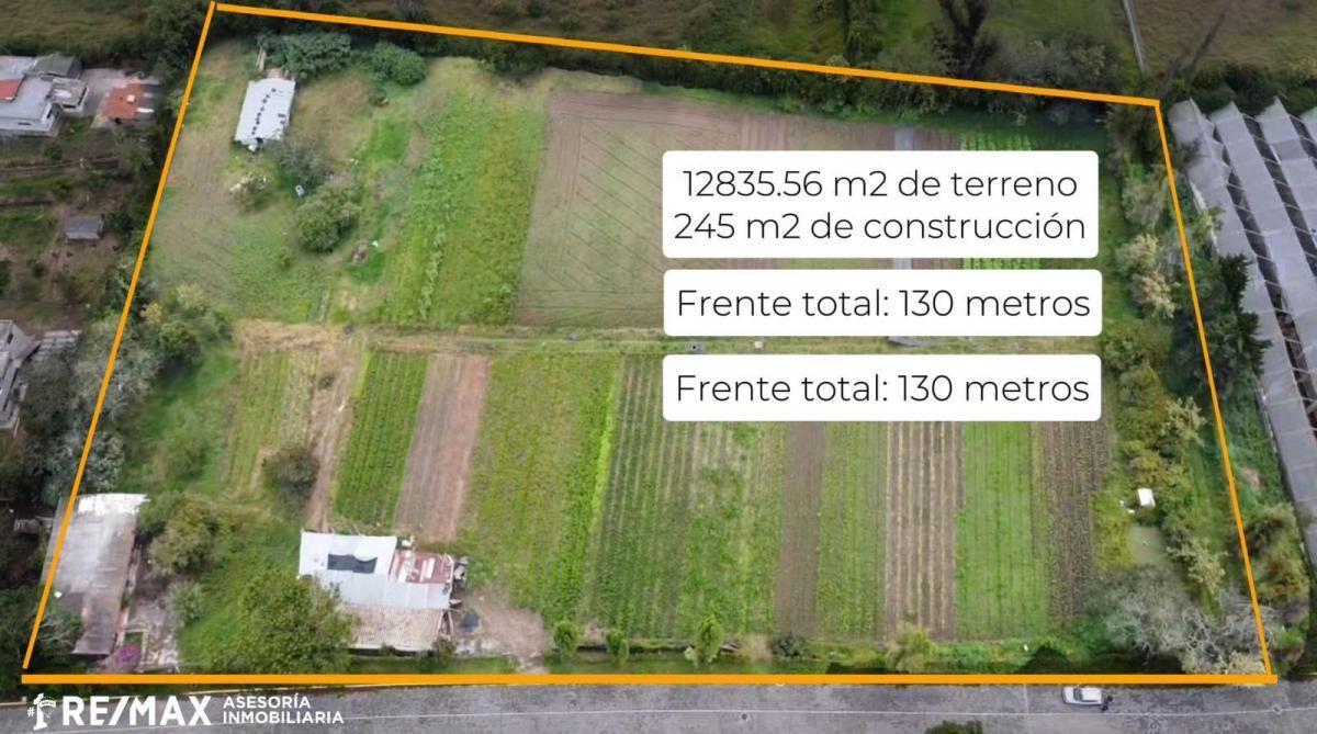Venta Terreno Plano 12835 m² Checa — imagen 6