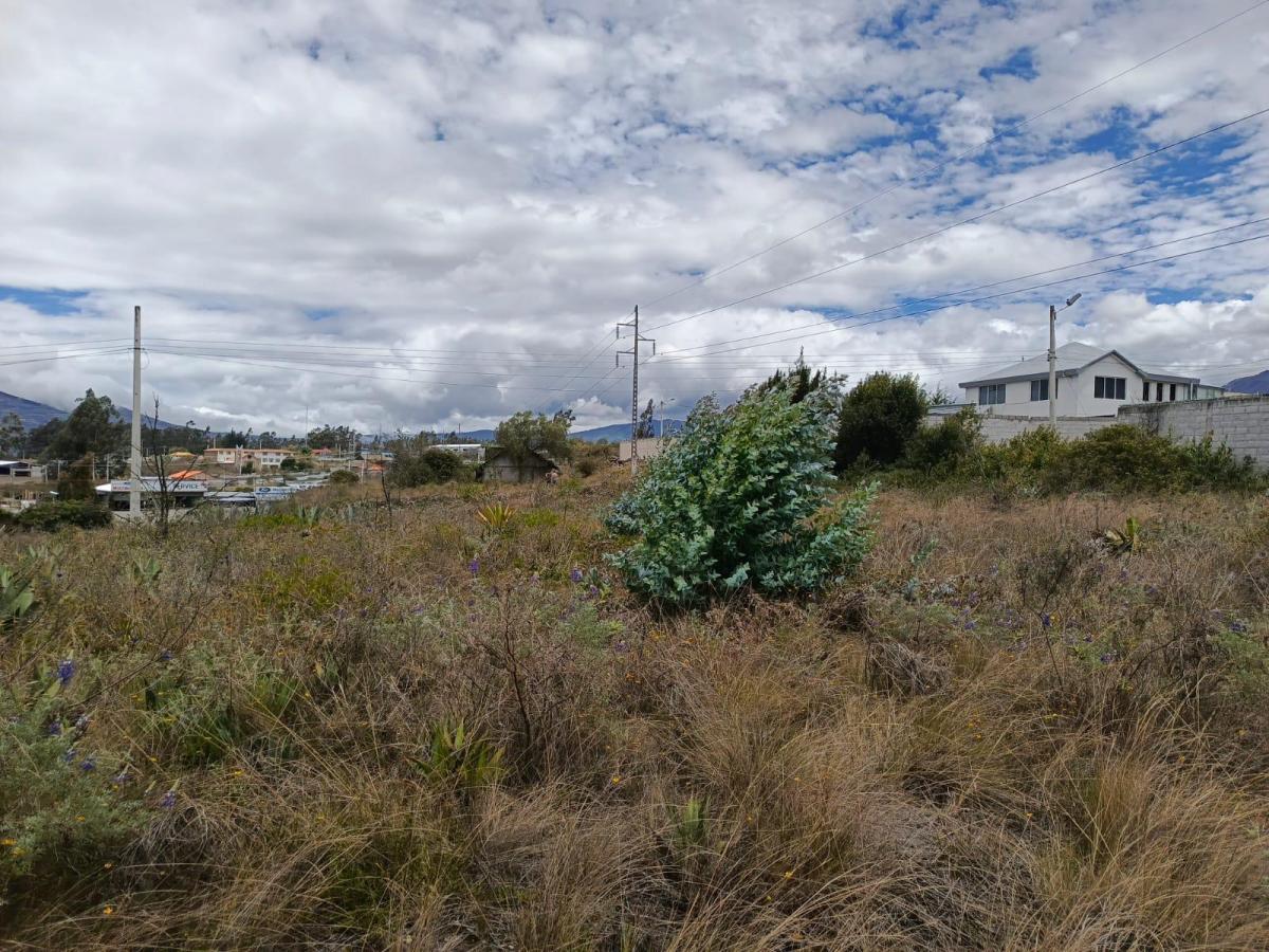 Terreno en Venta en Tisaleo. Tungurahua a La Av, Tungurahua — imagen 10