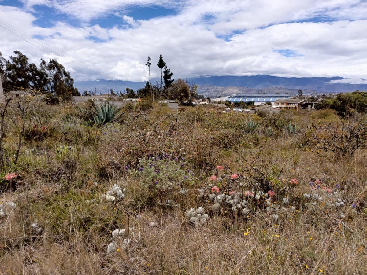 Terreno en Venta en Tisaleo. Tungurahua a La Av, Tungurahua — imagen 7