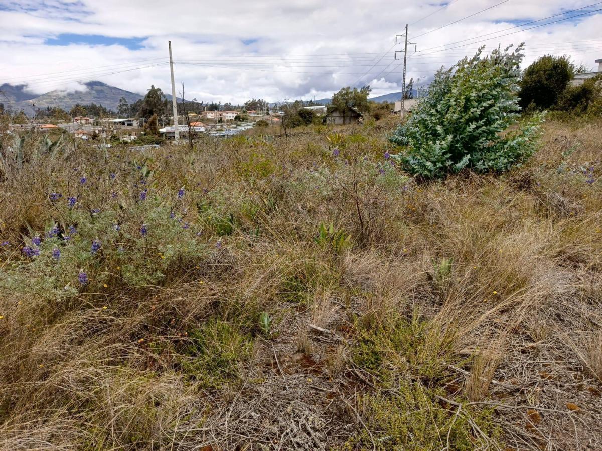 Terreno en Venta en Tisaleo. Tungurahua a La Av, Tungurahua — imagen 2
