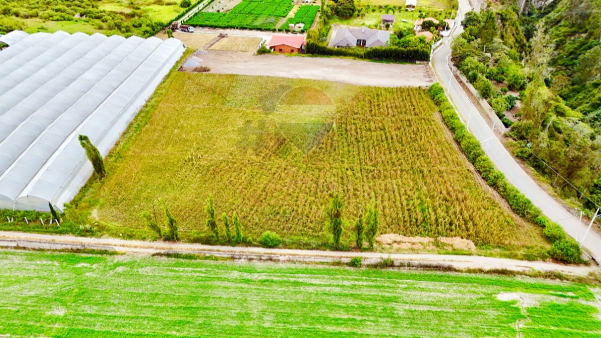 Terrenos en Venta en Atuntaqui - Sector Ontañon Lotes de 2160 m², Imbabura — imagen 9