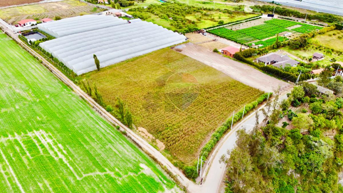 Terrenos en Venta en Atuntaqui - Sector Ontañon Lotes de 2160 m², Imbabura — imagen 7