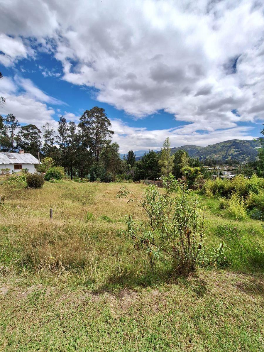 Venta de Terreno Para Desarrollo Inmobiliario en La Merced – Valle de Los Chillos — imagen 6