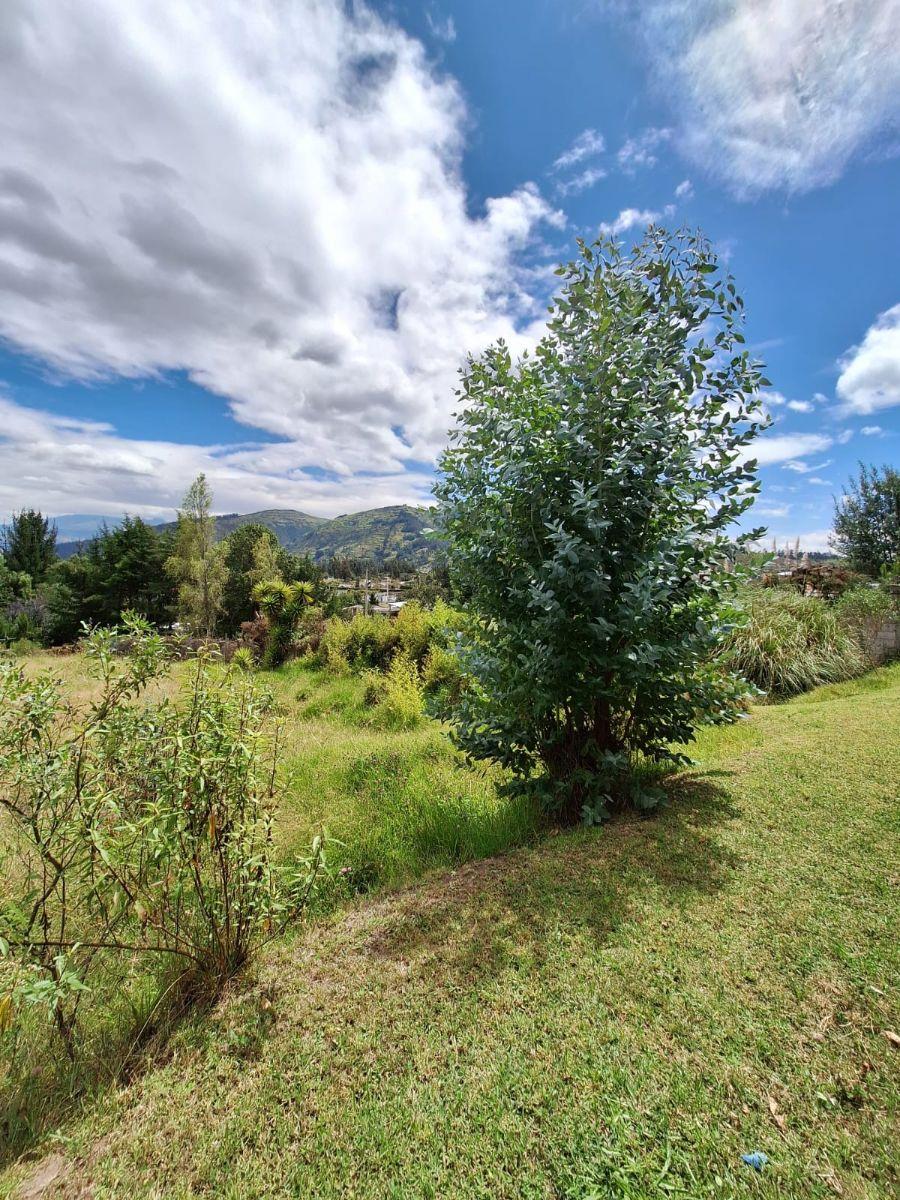 Venta de Terreno Para Desarrollo Inmobiliario en La Merced – Valle de Los Chillos — imagen 3