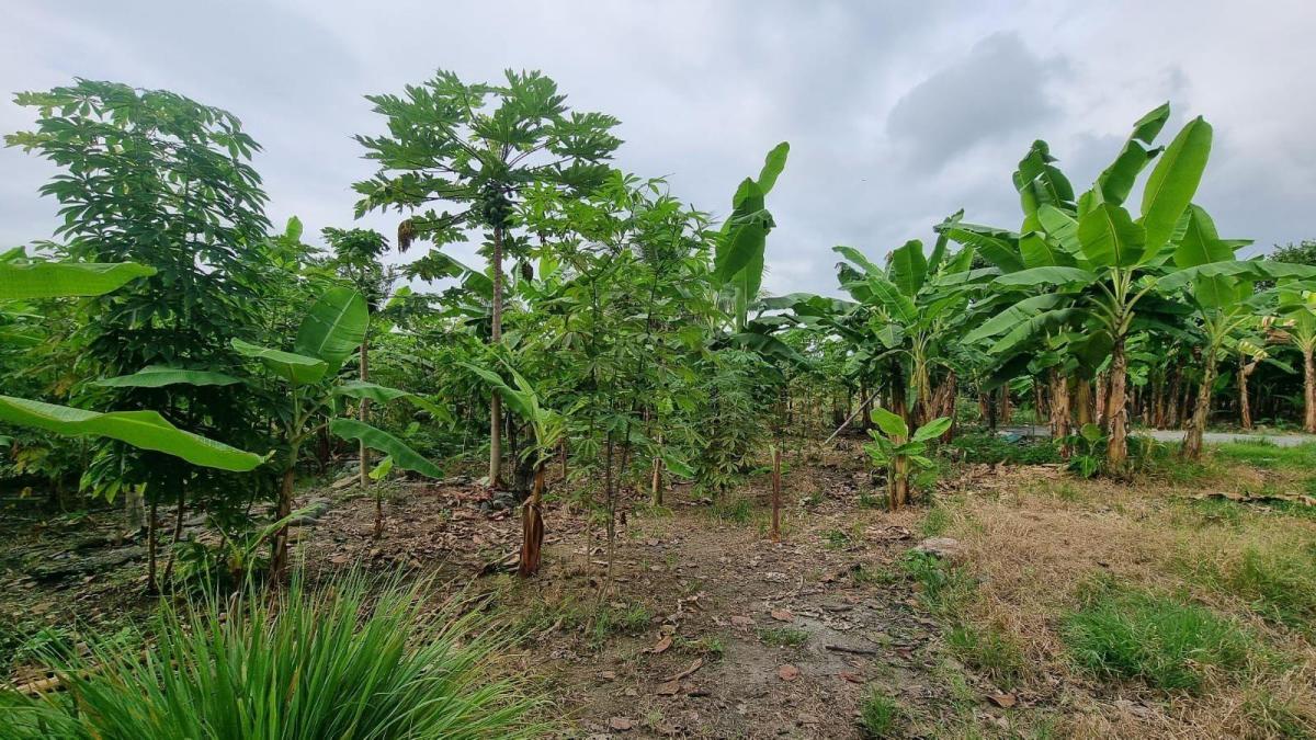 Terreno en Venta en Milagro Ings, Guayas — imagen 9