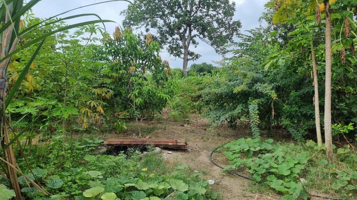 Terreno en Venta en Milagro Ings, Guayas — imagen 8