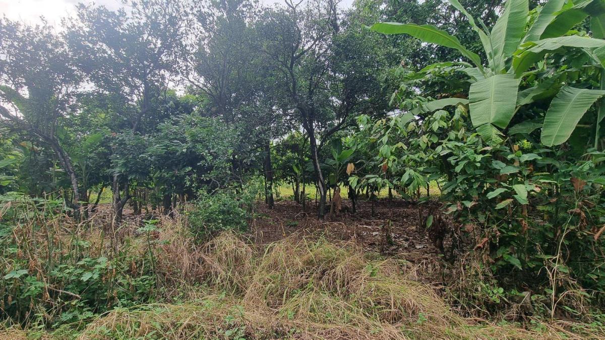 Terreno en Venta en Milagro Ings, Guayas — imagen 7