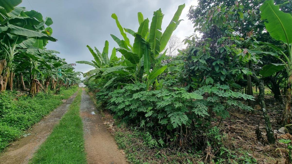 Terreno en Venta en Milagro Ings, Guayas — imagen 6