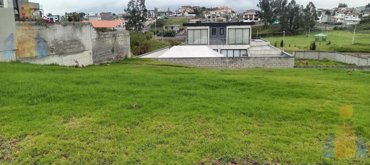 Terreno en San Rafael — imagen 9