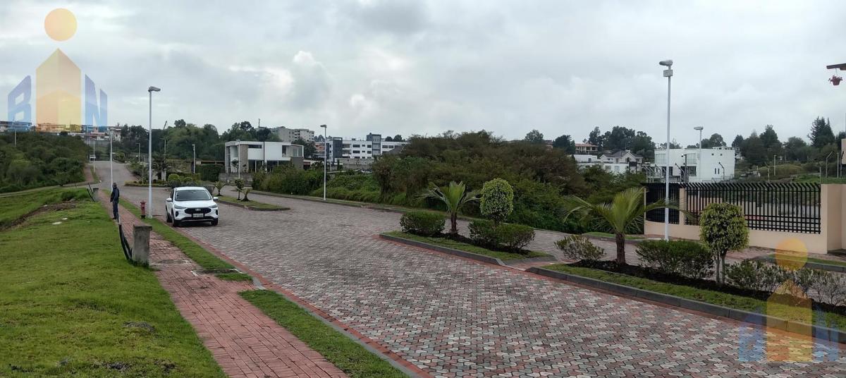 Terreno en San Rafael — imagen 7