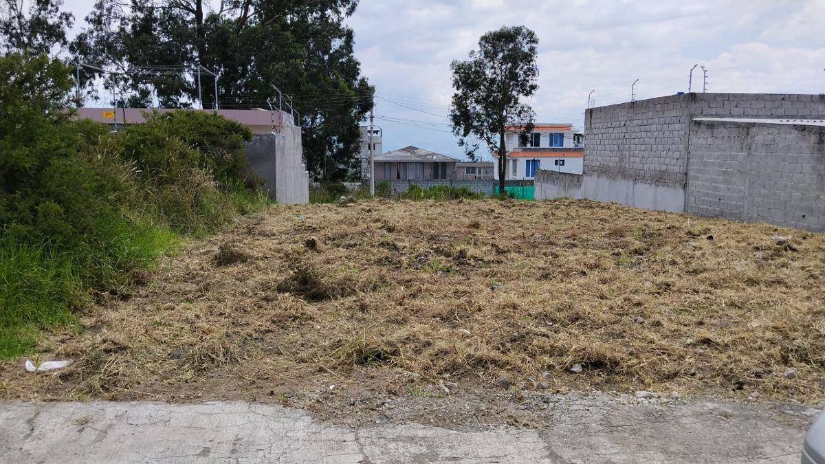 Terreno de Venta Sierra Hermosa — imagen 4