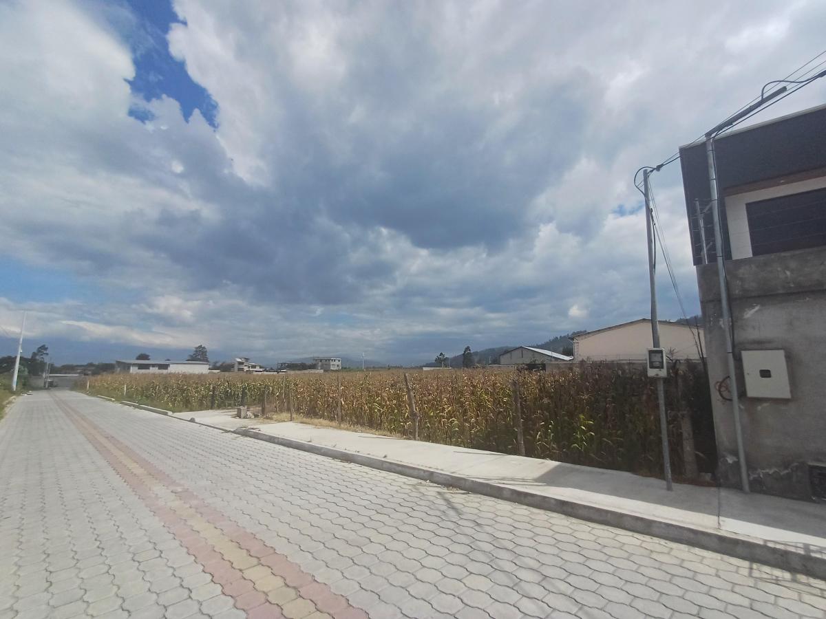 Venta Terreno 9000 m² Sector Llano Grande — imagen 10