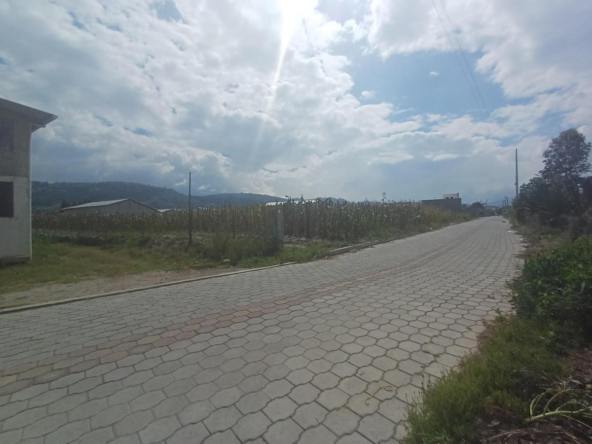 Venta Terreno 9000 m² Sector Llano Grande — imagen 9