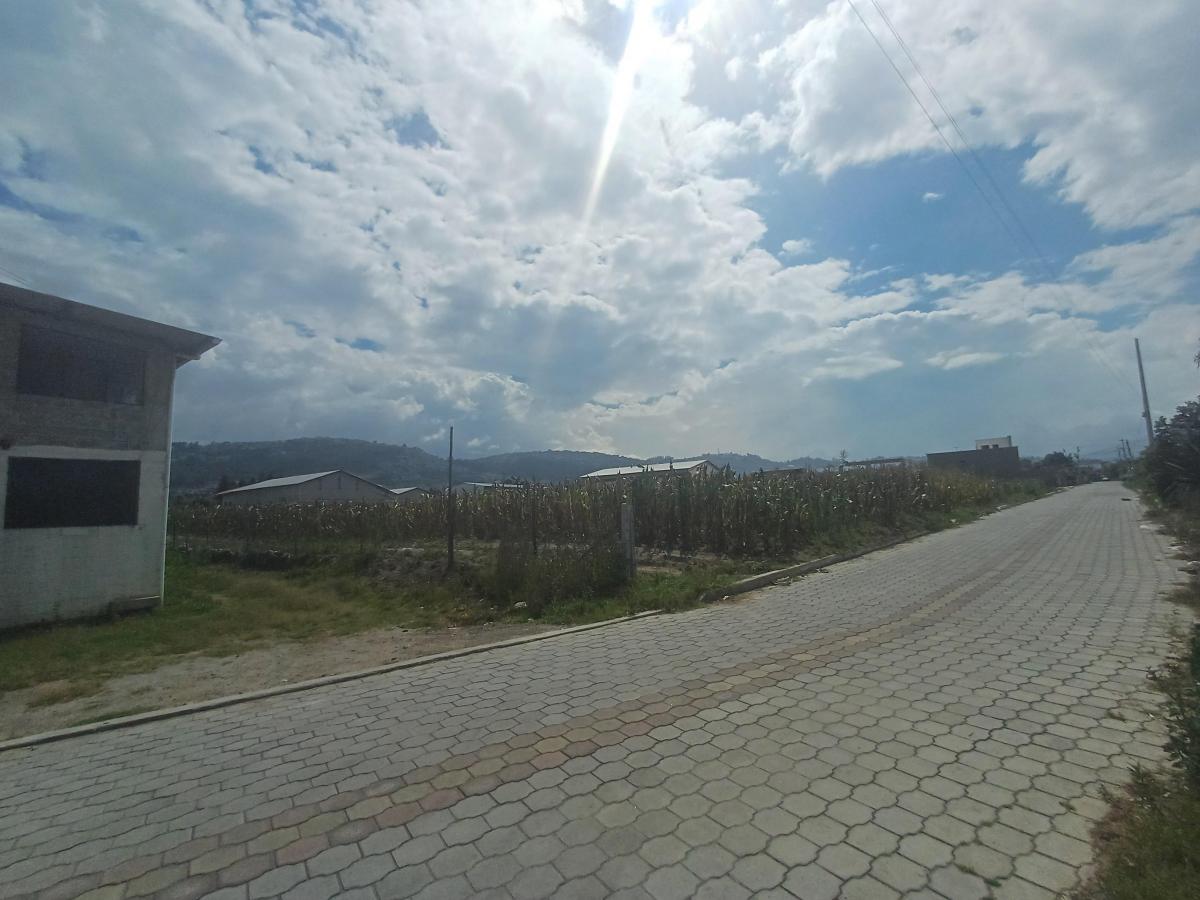 Venta Terreno 9000 m² Sector Llano Grande — imagen 8