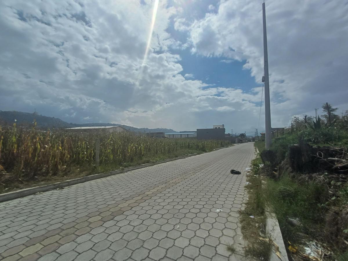 Venta Terreno 9000 m² Sector Llano Grande — imagen 7