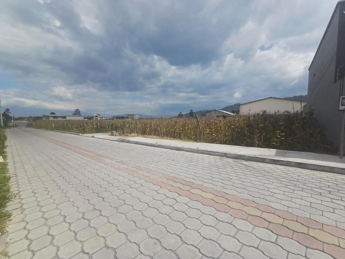 Venta Terreno 9000 m² Sector Llano Grande — imagen 6