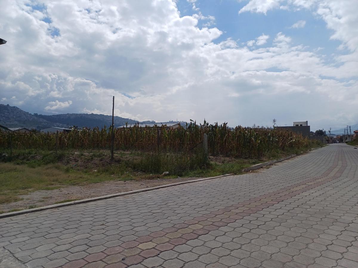 Venta Terreno 9000 m² Sector Llano Grande — imagen 4