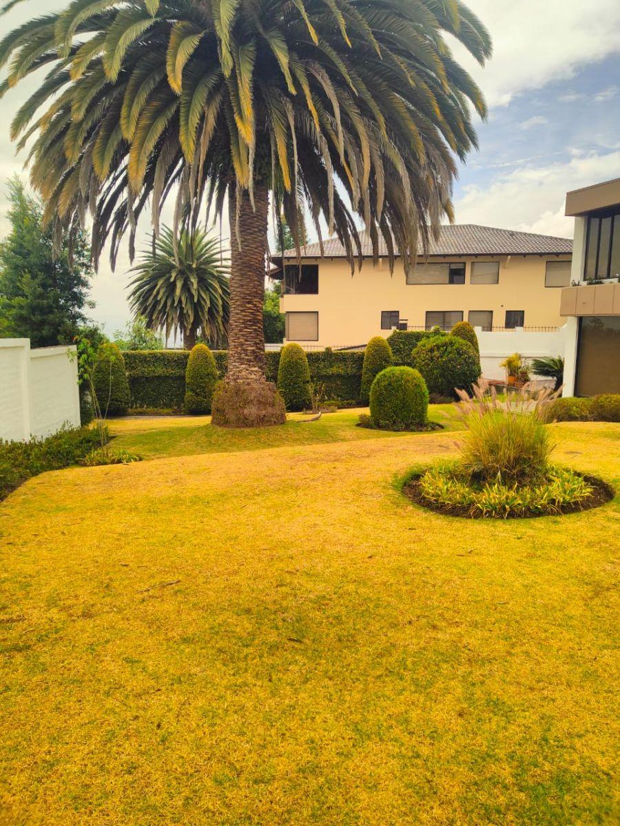 Vendo o Rento Casa Independiente en Miravalle (Cp) — imagen 9