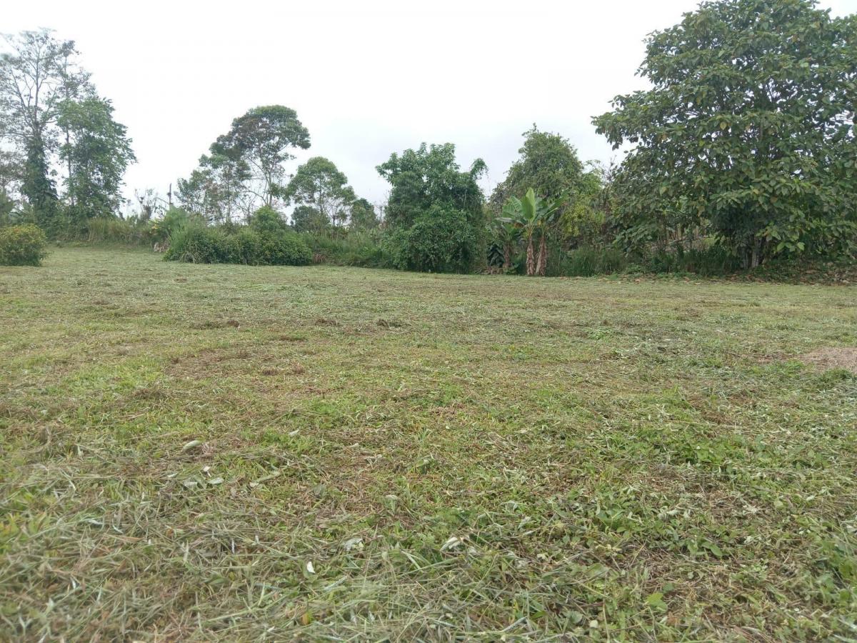 Terreno en Santo Domingo — imagen 8