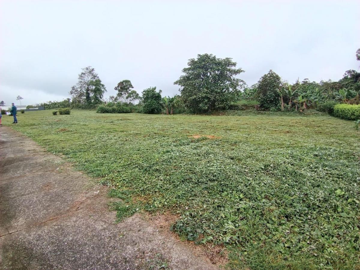 Terreno en Santo Domingo — imagen 6