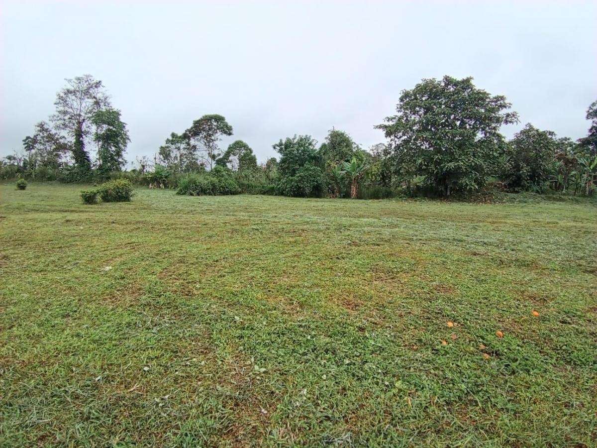 Terreno en Santo Domingo — imagen 2