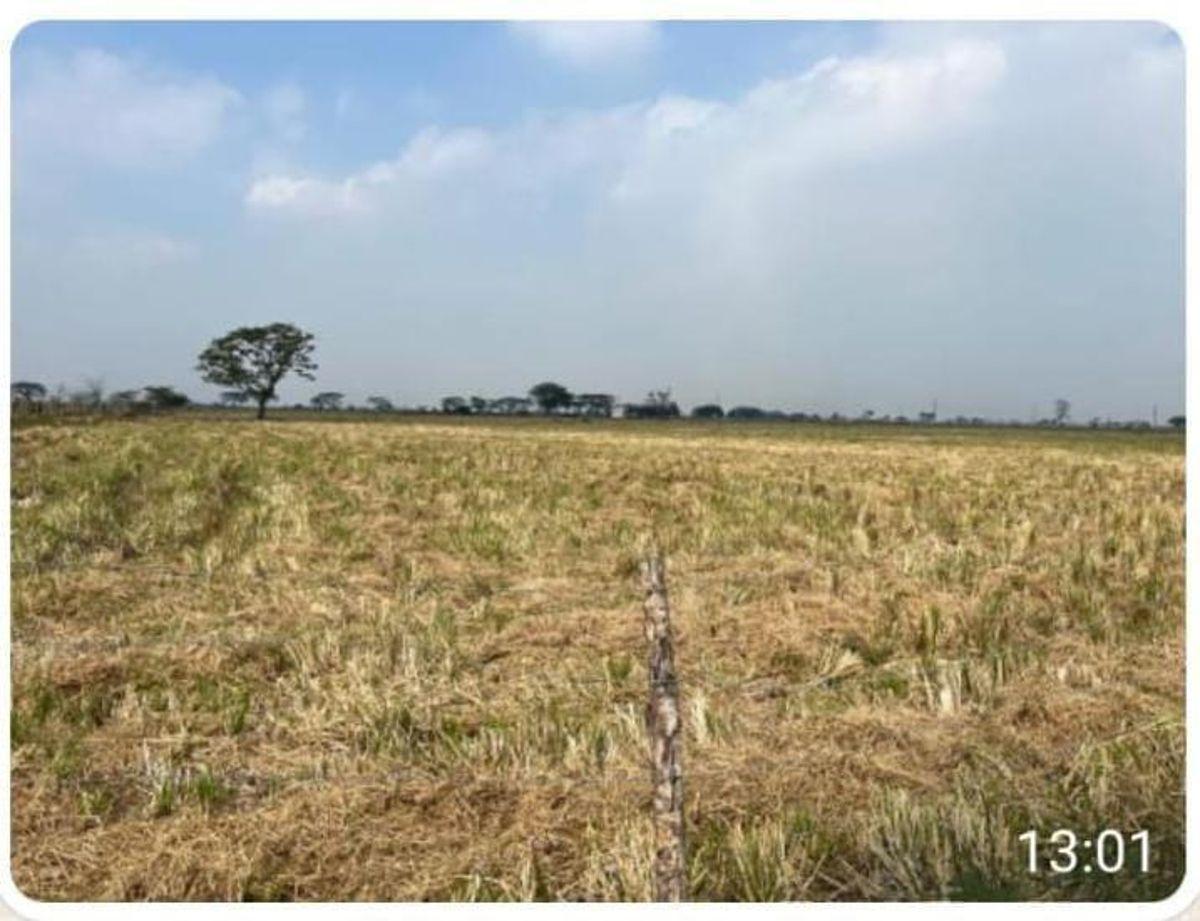 Sector Nuevo Samborondon Cerca Al Country Club Terreno Residencial en Venta, Guayas — imagen 2