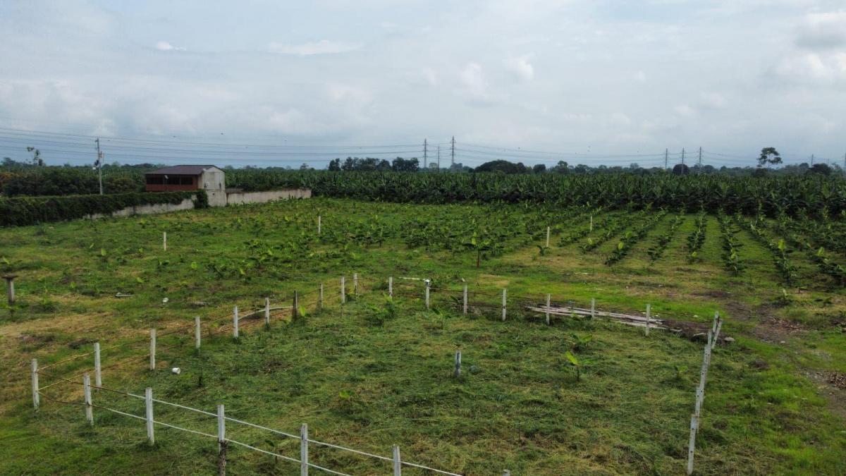 Terreno en Venta en Yaguachi Ings, Guayas — imagen 10