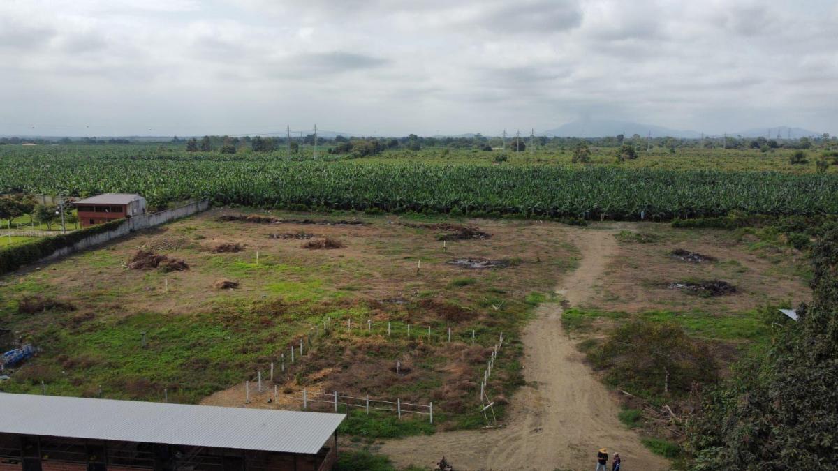 Terreno en Venta en Yaguachi Ings, Guayas — imagen 8