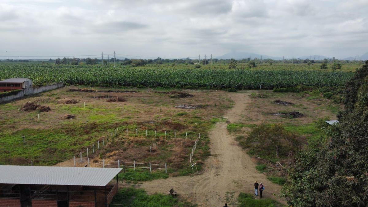 Terreno en Venta en Yaguachi Ings, Guayas — imagen 7