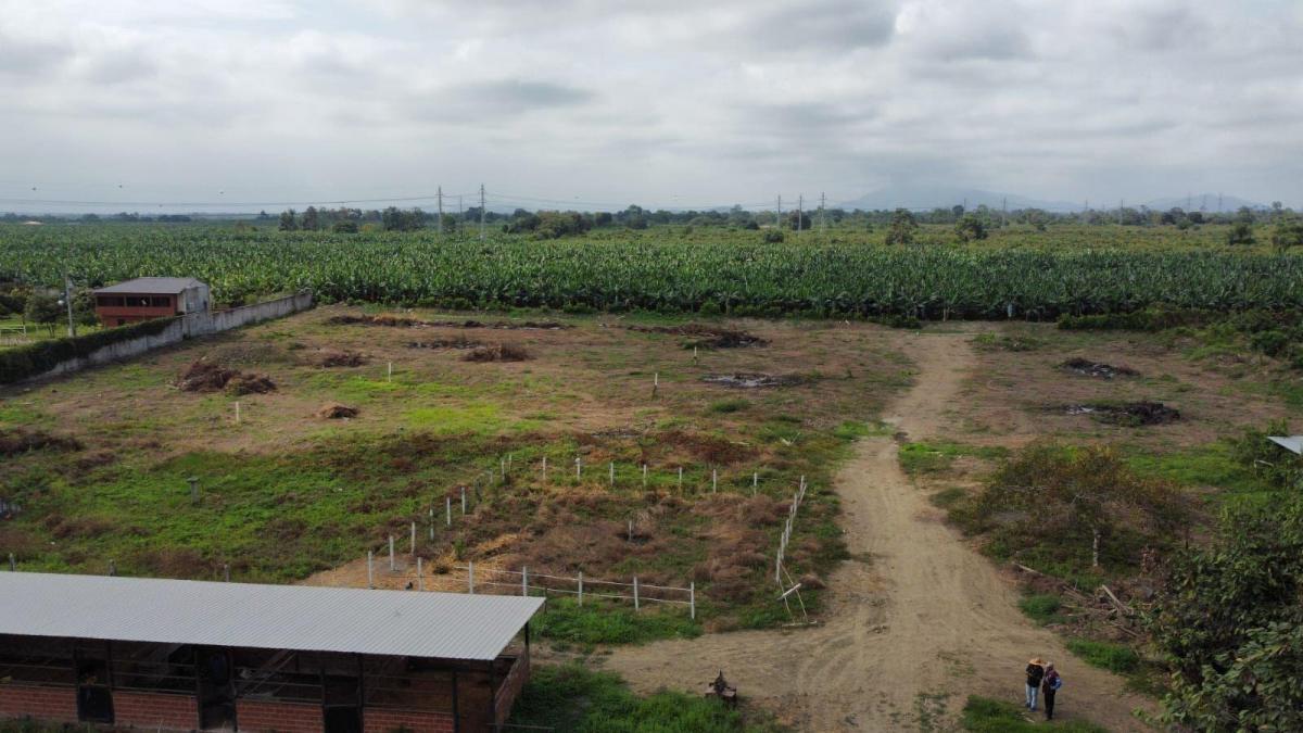 Terreno en Venta en Yaguachi Ings, Guayas — imagen 6