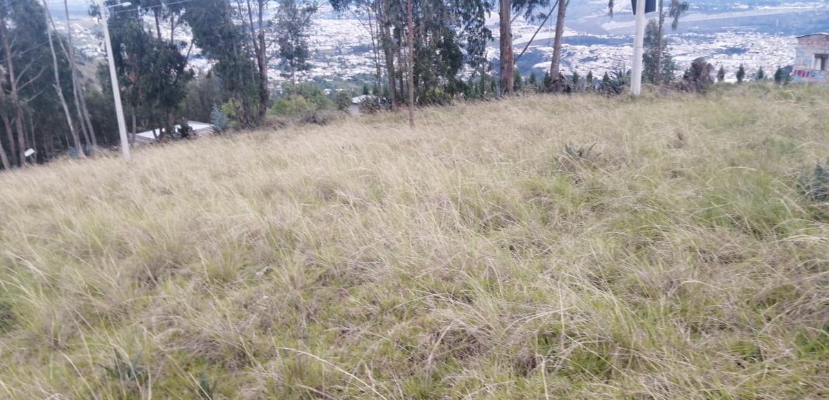 Macrolote en Venta Constantino Fernandez. Ambato!, Tungurahua — imagen 9