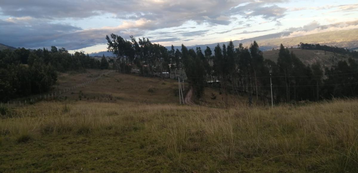 Macrolote en Venta Constantino Fernandez. Ambato!, Tungurahua — imagen 7