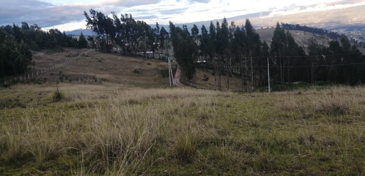 Macrolote en Venta Constantino Fernandez. Ambato!, Tungurahua — imagen 2