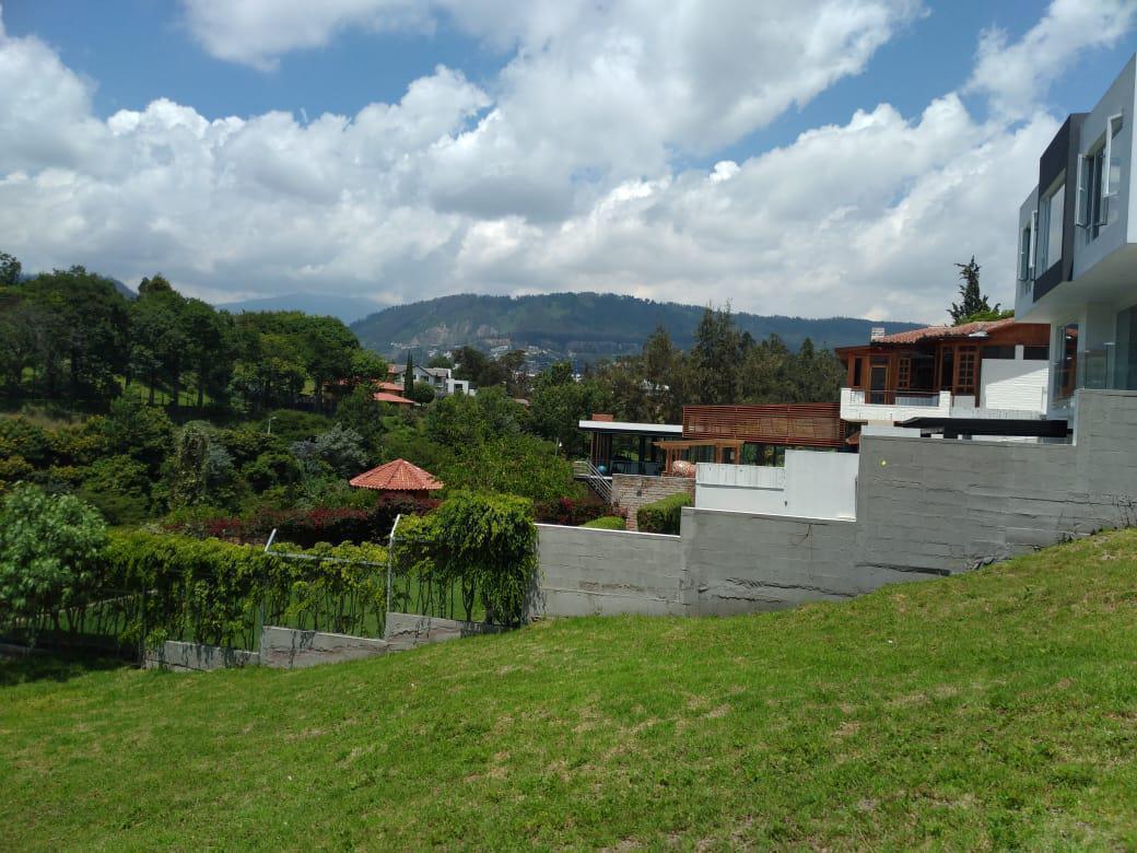 Vendo Terreno 1346 m², Dentro de Urb. Privada Cumbayá Vía Santa Inés. Oportunidad. Provincia de Pichincha — imagen 10