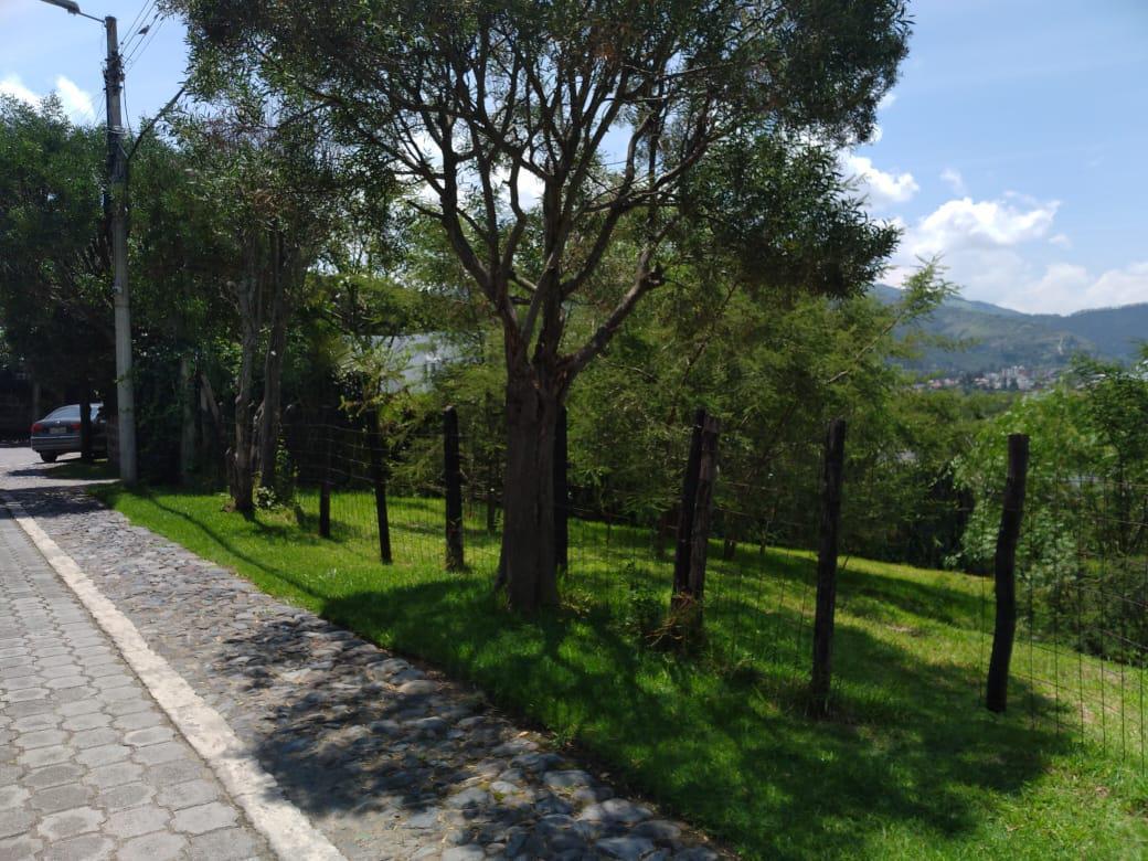 Vendo Terreno 1346 m², Dentro de Urb. Privada Cumbayá Vía Santa Inés. Oportunidad. Provincia de Pichincha — imagen 9