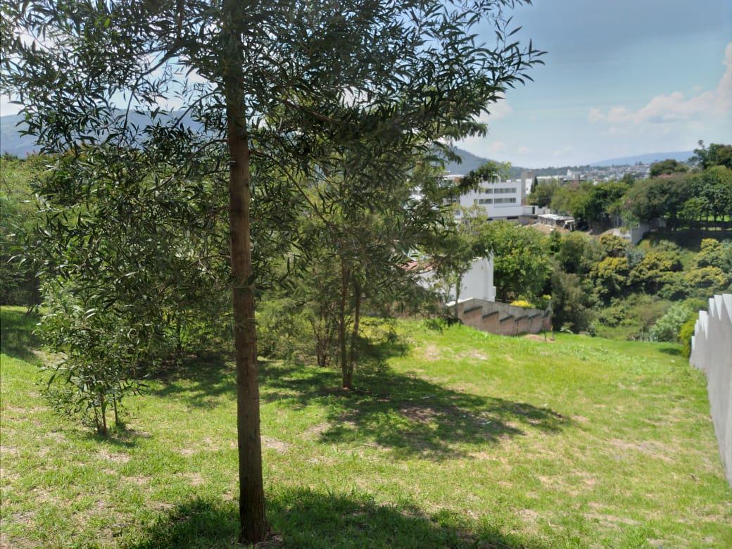 Vendo Terreno 1346 m², Dentro de Urb. Privada Cumbayá Vía Santa Inés. Oportunidad. Provincia de Pichincha — imagen 8