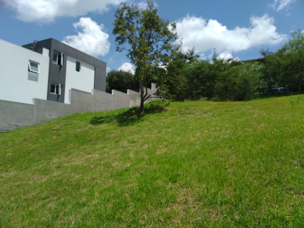 Vendo Terreno 1346 m², Dentro de Urb. Privada Cumbayá Vía Santa Inés. Oportunidad. Provincia de Pichincha — imagen 7