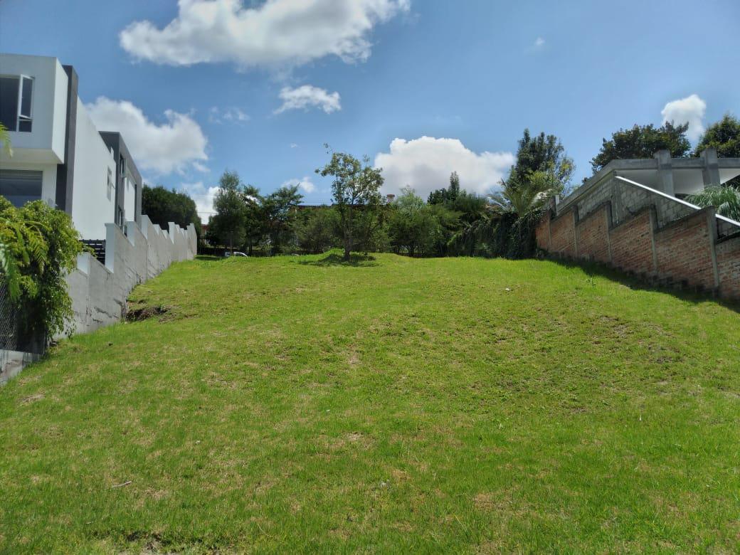 Vendo Terreno 1346 m², Dentro de Urb. Privada Cumbayá Vía Santa Inés. Oportunidad. Provincia de Pichincha — imagen 6