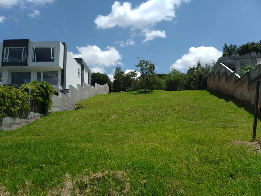 Vendo Terreno 1346 m², Dentro de Urb. Privada Cumbayá Vía Santa Inés. Oportunidad. Provincia de Pichincha — imagen 2