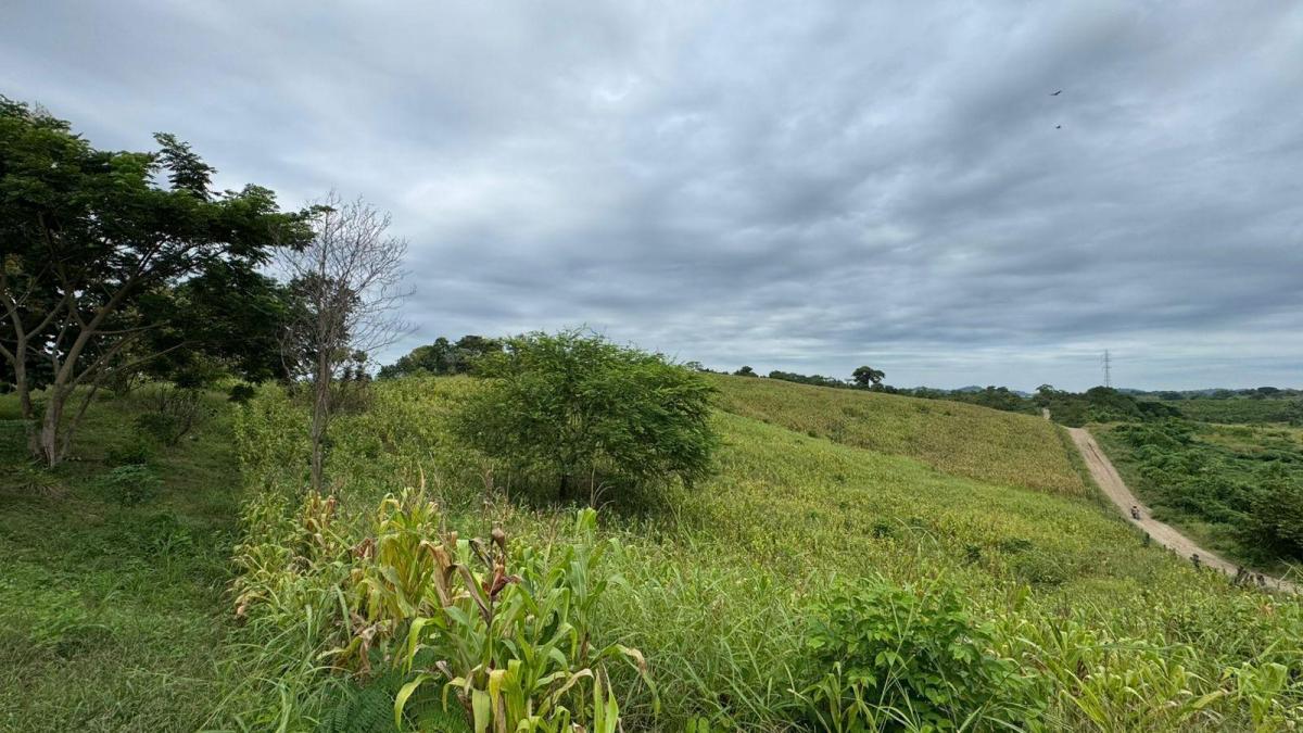 Vendo Macrolote en La Zona del Km 22 Via a La Costa Guayaquil, Guayas — imagen 10